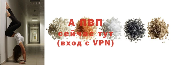мяу мяу мука Куйбышев