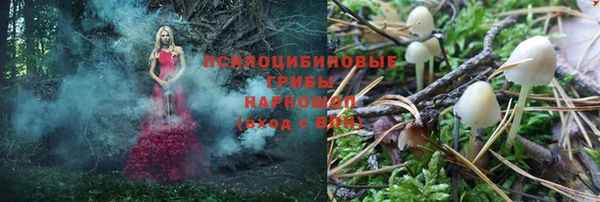 МДПВ Кулебаки