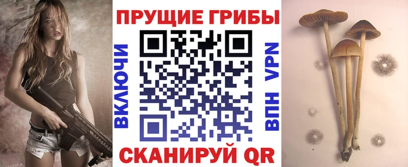 Псилоцибиновые грибы Cubensis  дарк нет Telegram  Костерёво 